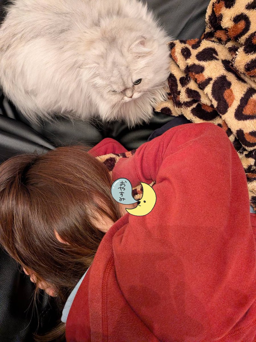 YURA96818234's tweet photo. ソファーで寝落ちしてるママを見守ってくれてる https://t.co/8FAPH8AMOi