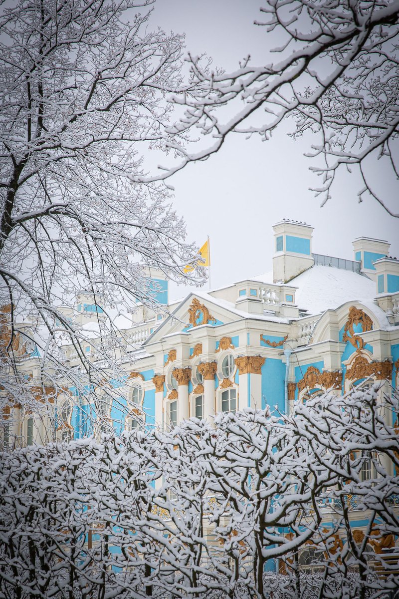 🇬🇧 The Catherine Palace in a snowy frame
📷 Tsarskoe Selo, Katerina Novak
🇷🇺 Екатерининский дворец в снежной раме