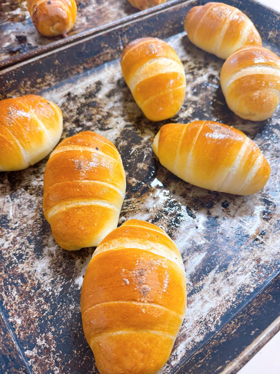 くまパン ブーベ (@kumapan_bu_be) / Posts / X