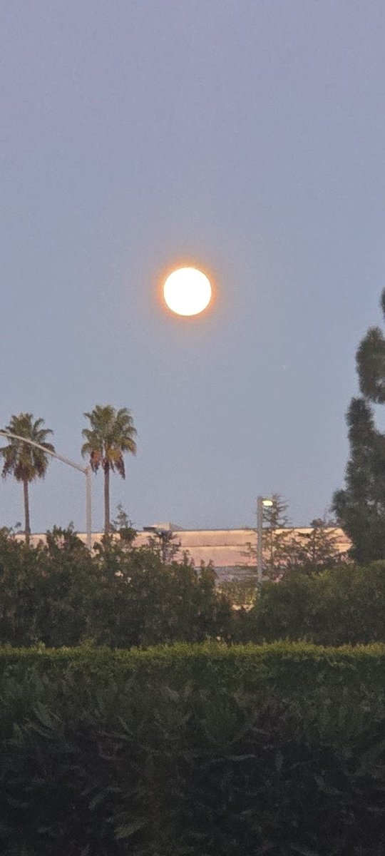 oorisForest's tweet photo. @ThatMumboJumbo is the moon big? https://t.co/NguQ3wiYiw