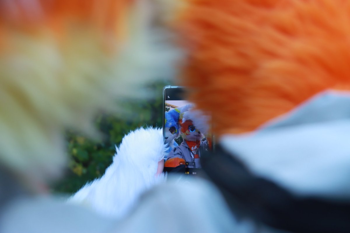 #FursuitFriday
将快乐定格在此刻！
🐱：飞喵
📷：<a href="/Furcat_flame/">狸焰/蔚辰🔜WFF</a> &amp; 和羽