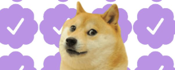 solanacipher tweet media