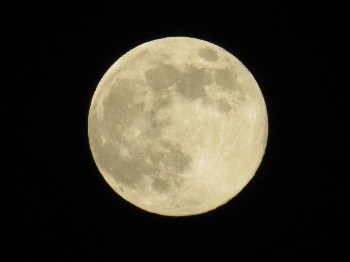 coachpam2's tweet photo. Full Cold Super Moon getting closer to the #wintersolstice🌙❄️🎄! #coldmoon #fullmoon #supermoon #superfullcoldmoon #longnightmoon #snowmoon #moonbeforeyule #decembermoon #nightsky https://t.co/l1aSjXPZuY