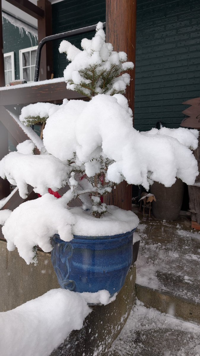 P_Green_Lake's tweet photo. 今日も降り続いています!
一気に冬の景色☃❄ https://t.co/M2rWoFlrb6