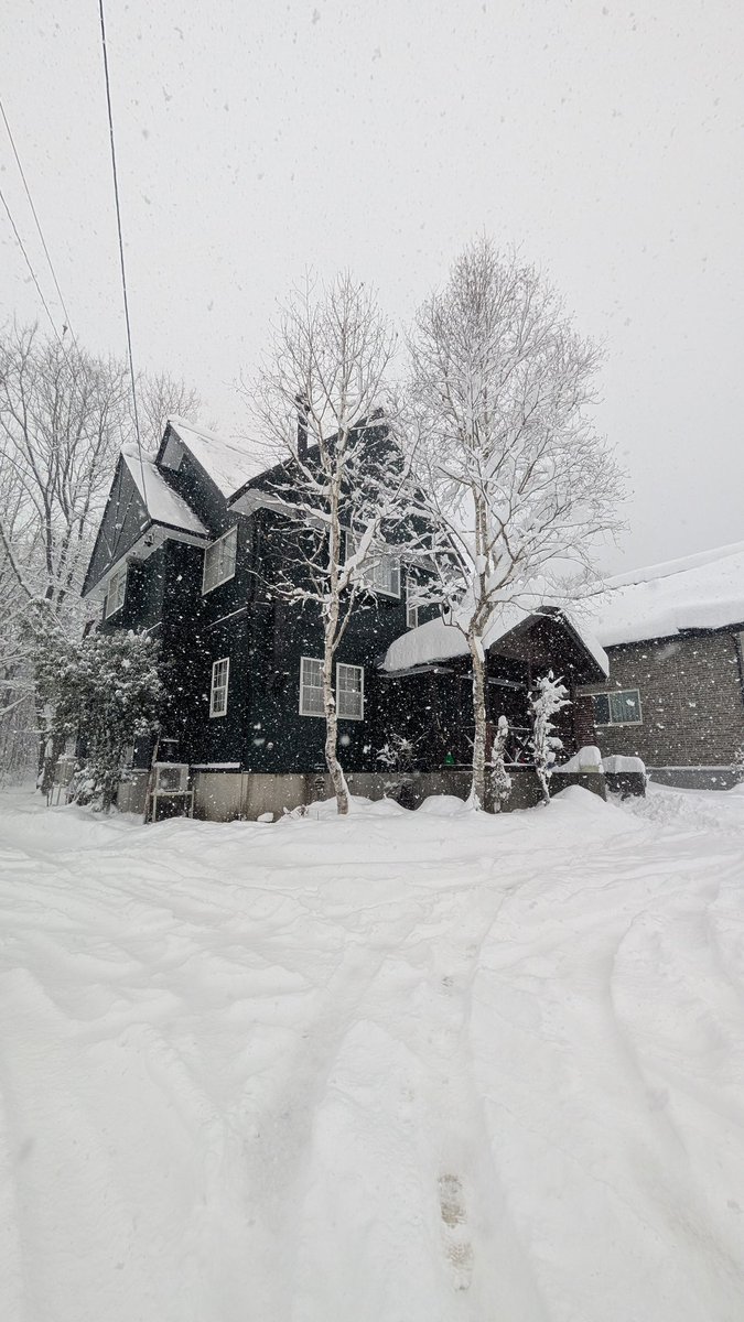 P_Green_Lake's tweet photo. 今日も降り続いています!
一気に冬の景色☃❄ https://t.co/M2rWoFlrb6