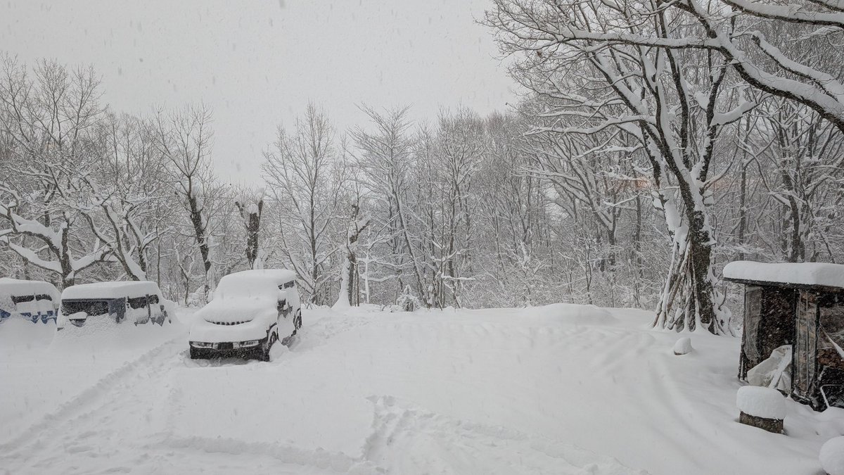 P_Green_Lake's tweet photo. 今日も降り続いています!
一気に冬の景色☃❄ https://t.co/M2rWoFlrb6
