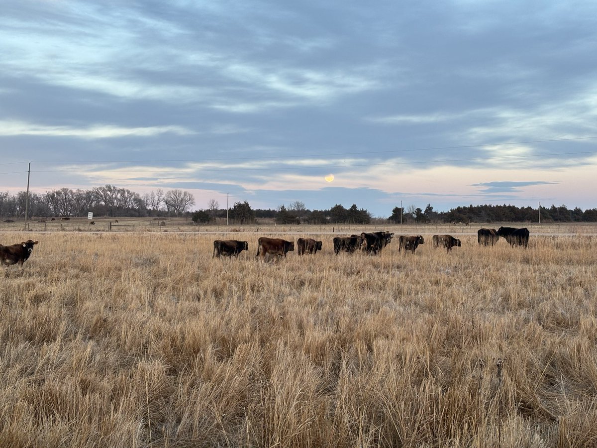 Ben Gotschall tweet media