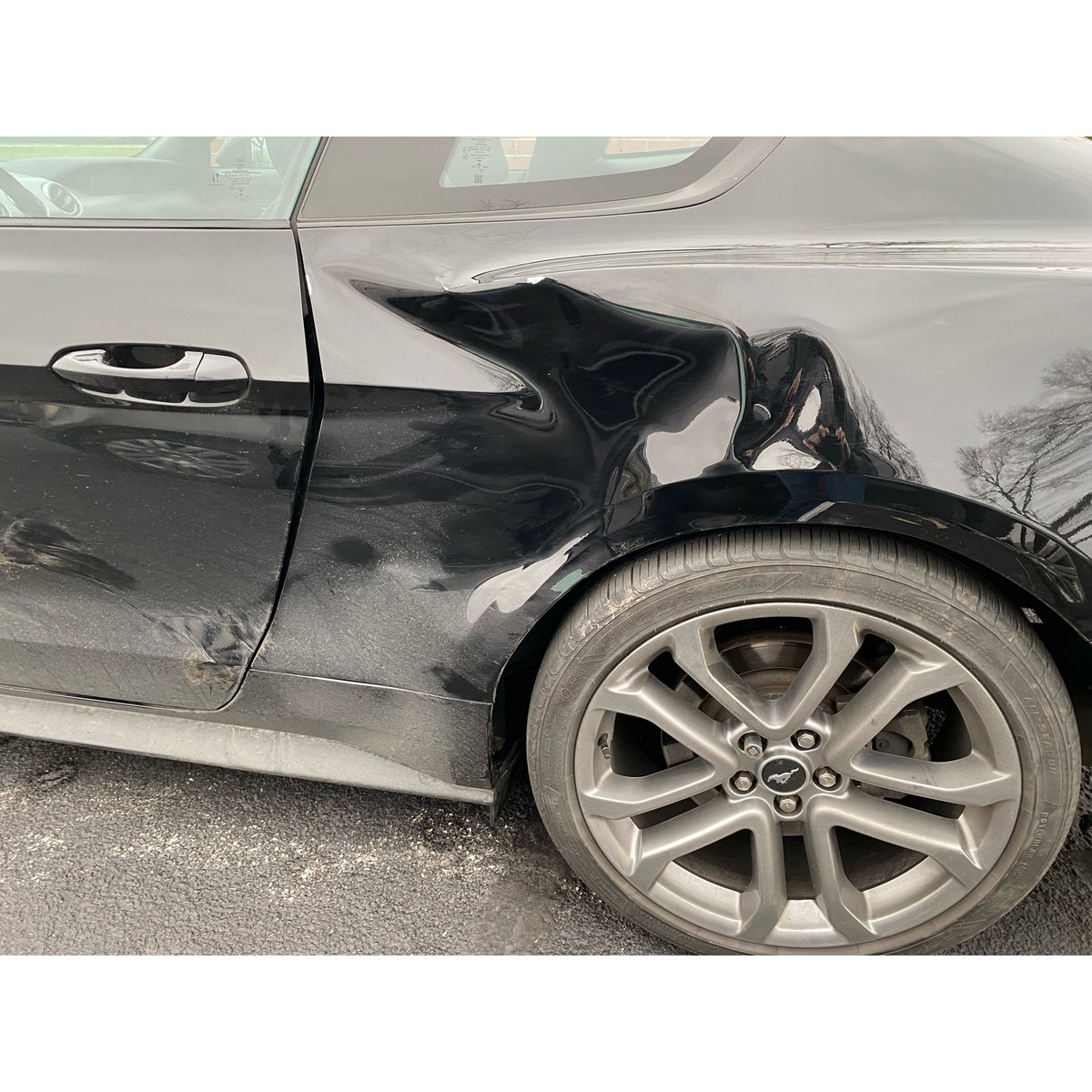 MichaelPCassid2's tweet image. My new least favorite animal is the deer.