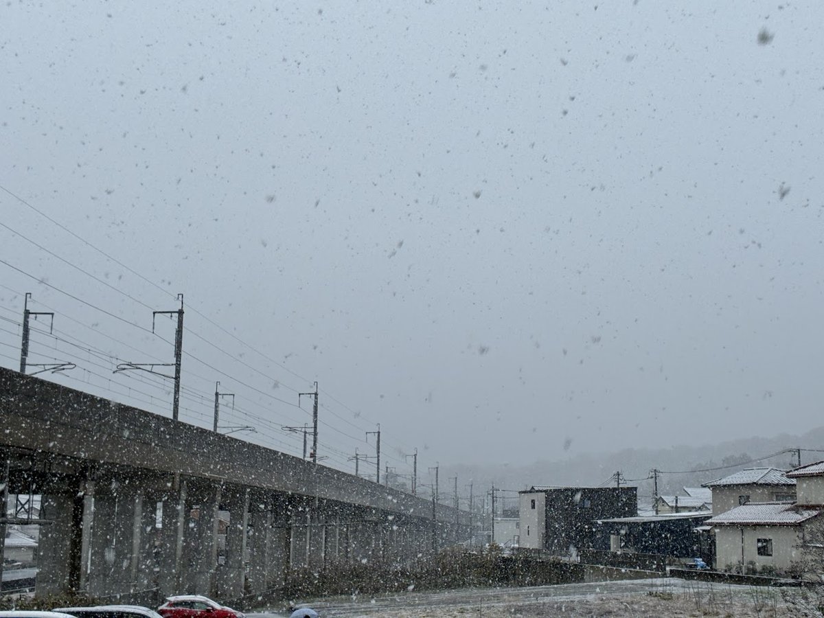 nobzoZ@RippletotheMoon (@nobzoZ) / Posts / X