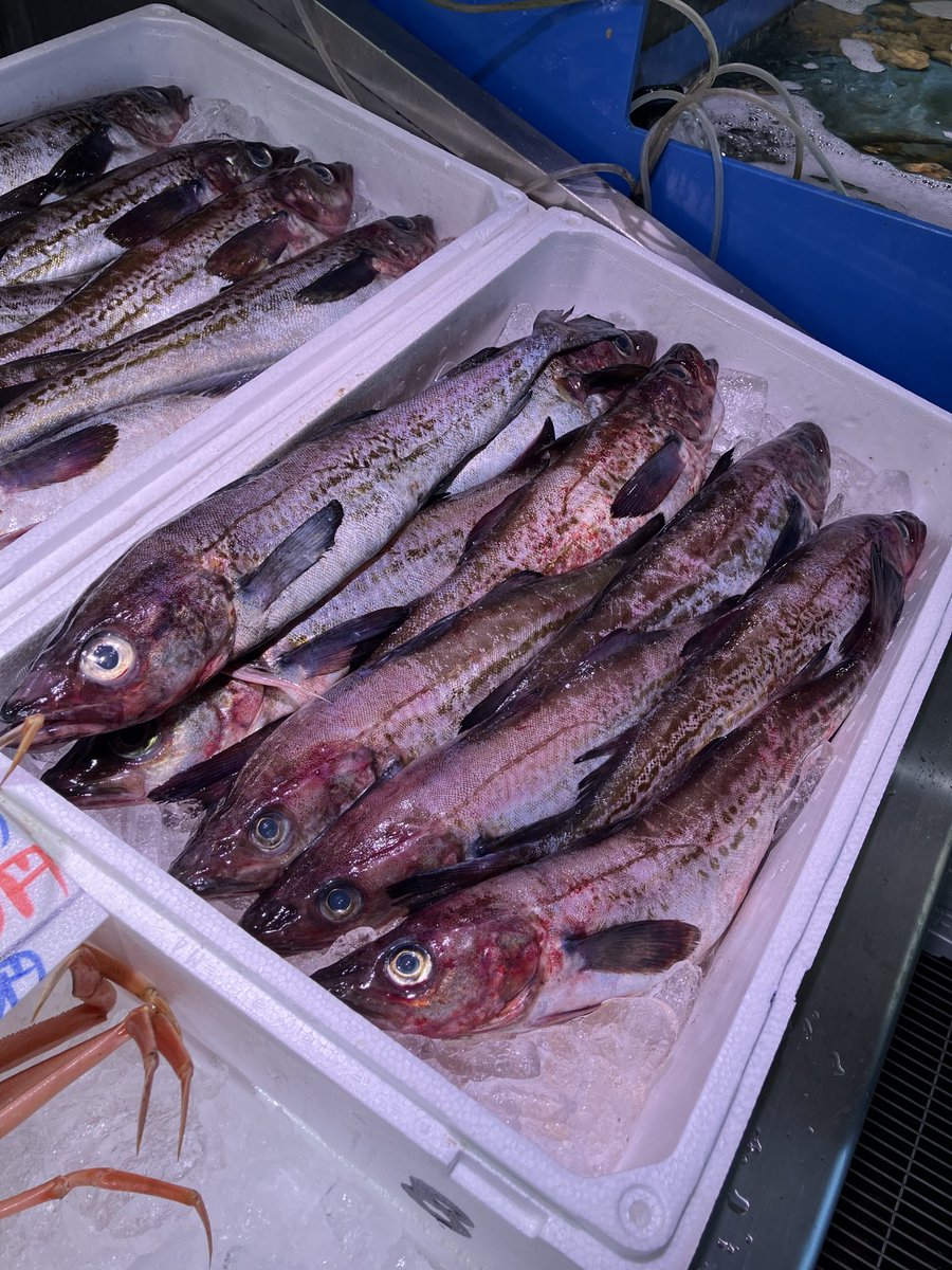 あるるんの海/海鮮レストランあるるんの海 (@arurunnoumi) / Posts / X