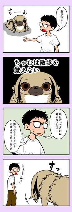 うちのちゃむ 〜さんぽ編〜 #うちのちゃむ #ペキニーズ #ペキニーズ大好き #ペット #犬 #犬のいる暮らし #犬のいる生活 #可愛い #可愛すぎる #漫画が読めるハッシュタグ #エッセイ 