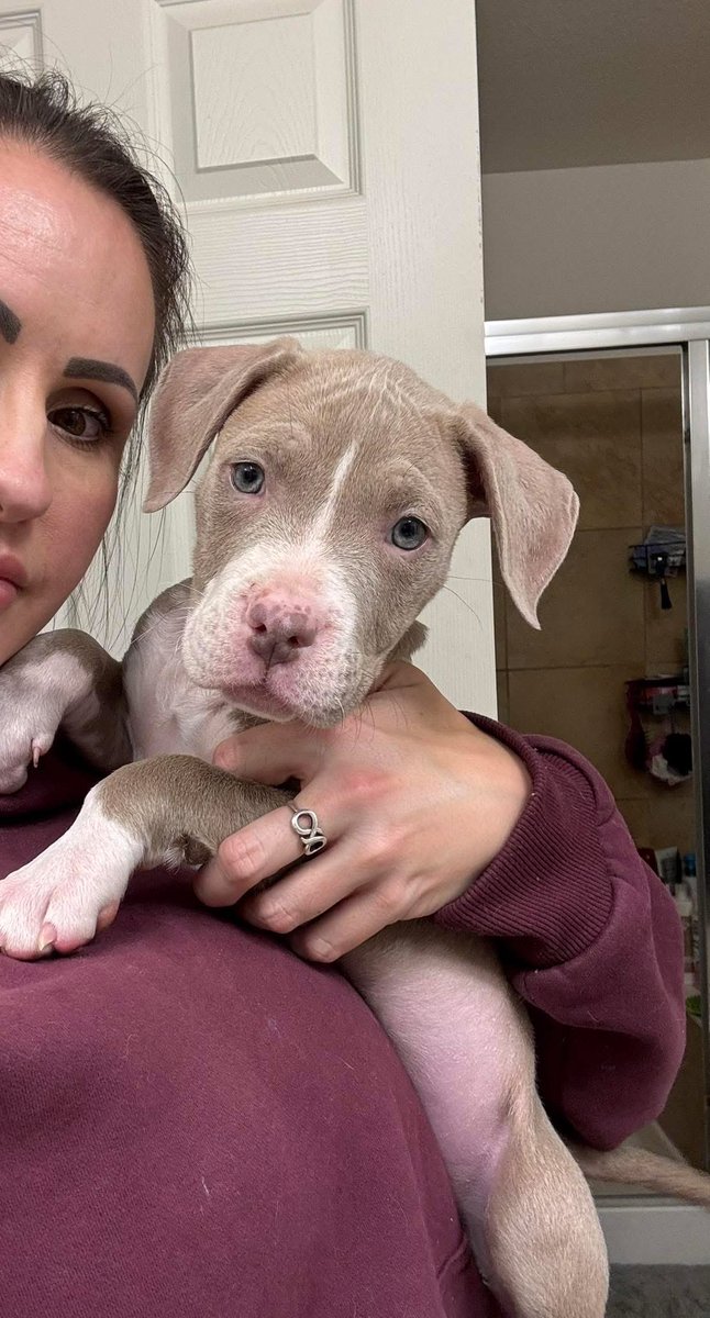 Puppies 🐶 tweet media