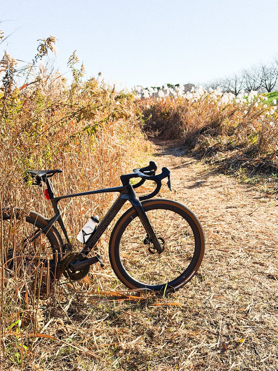 今朝も稲城クロスのコースをぐるぐる。このバイクの曲がり方が分かっ