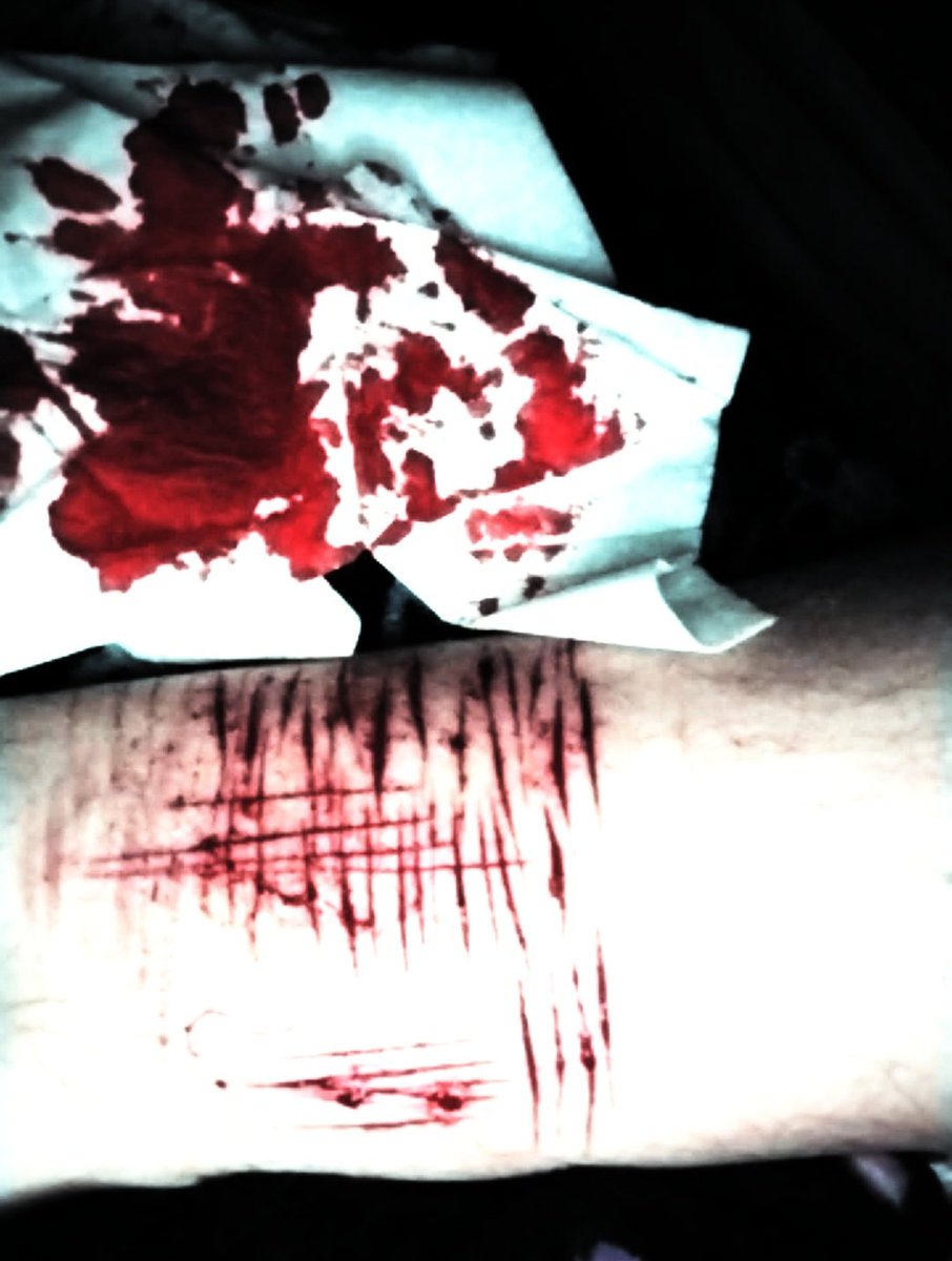 l4yll4_'s tweet photo. just some small cuts :P (sfx)
#shtwt https://t.co/GIryo0MK3L