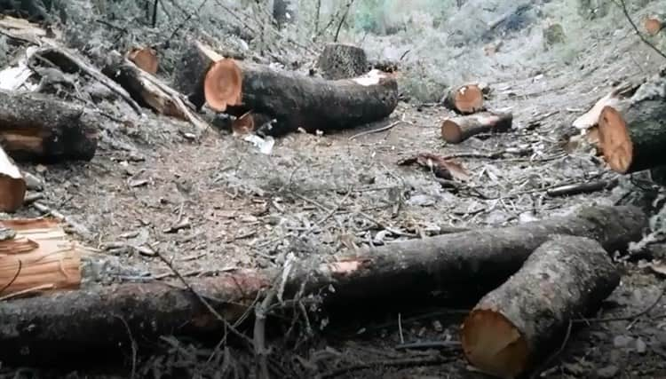 MarthaLuz tweet media