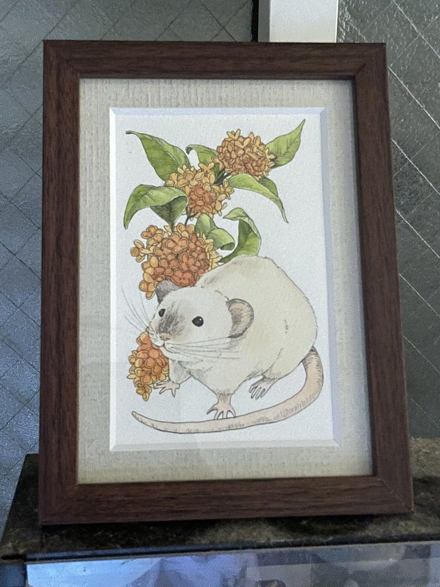 柿ピー(○˙꒳˙○)🧀🐁🫘 (@kakinotane96) / Posts / X