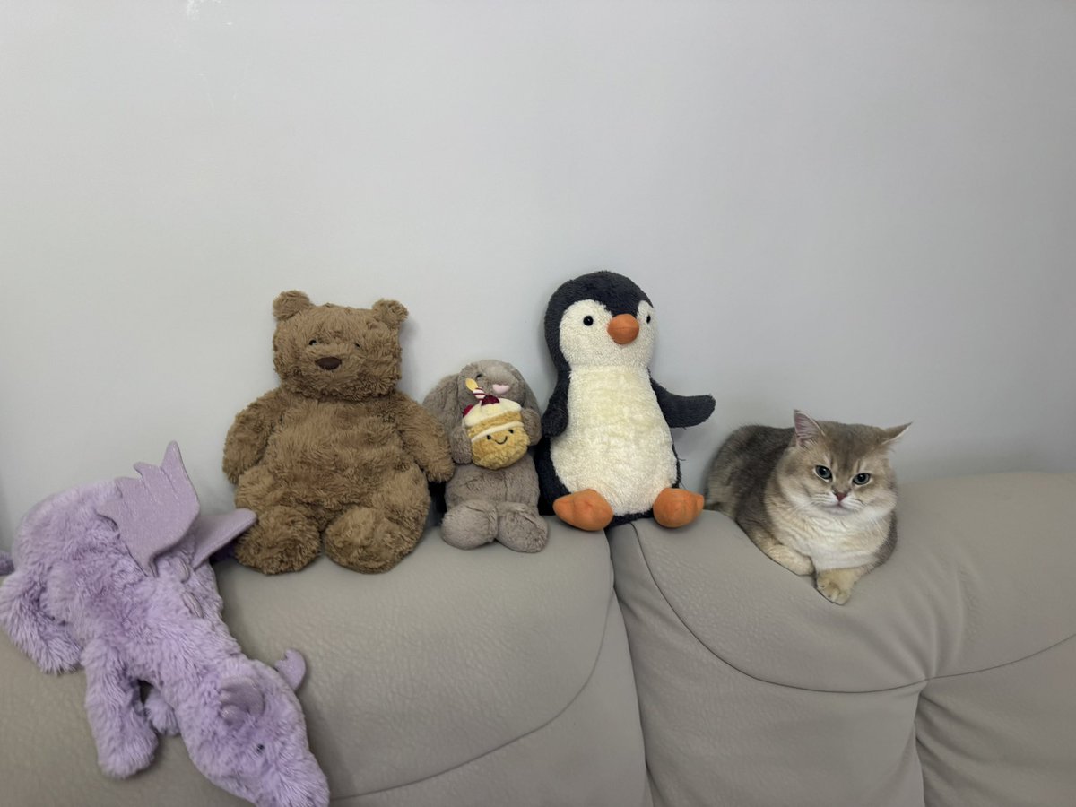 zhouivy53's tweet image. Still looking for followers 
寻找互关互赞哦
#ifollowback
#letsconnect
#互关互赞