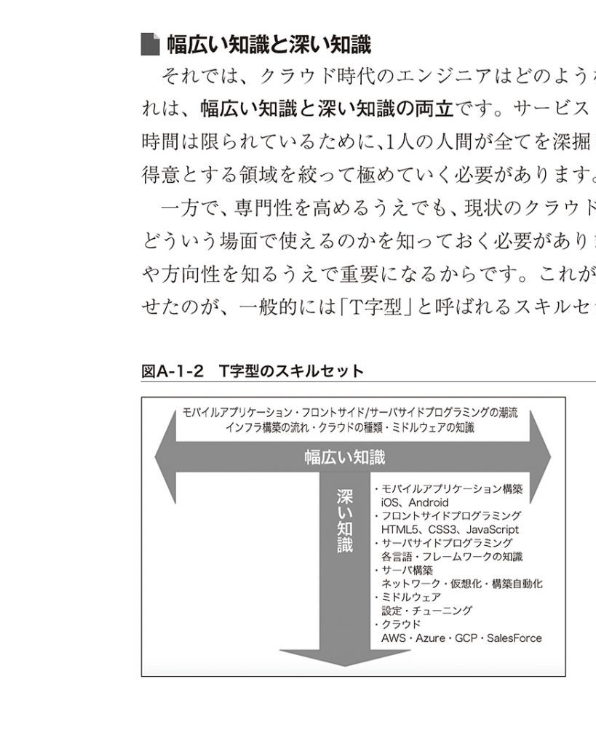 レオナルド・ダ・ヴィンチみたいに万能の天才にはなれない。AI時代のエンジニアは、T型人材になるべき。特定分野に関する深い知識と、幅広い知識。10年前くらいに、AWSのクラウドネイティブ・アプリケーション開発技法という本を書いて、同じようなことを書いていた。自分の目指した方向性は間違ってい