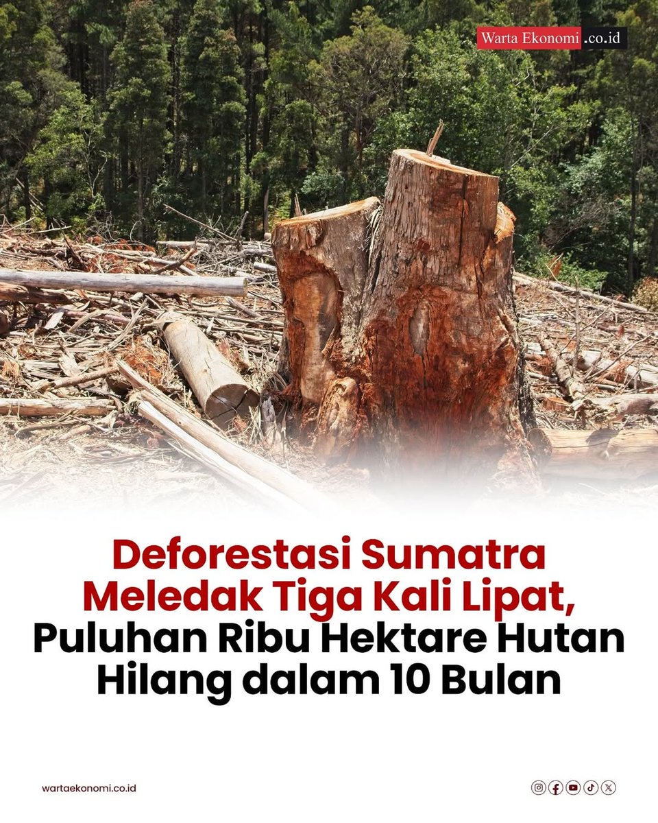 DS_yantie's tweet photo. Baru 1 tahun Raja Juli menjabat kemenhut deforestasi meledak 3x lipat, bayangkan kalau dia menjabat sampai 5 tahun kedepan 😭 https://t.co/MFpJ8LgbdX