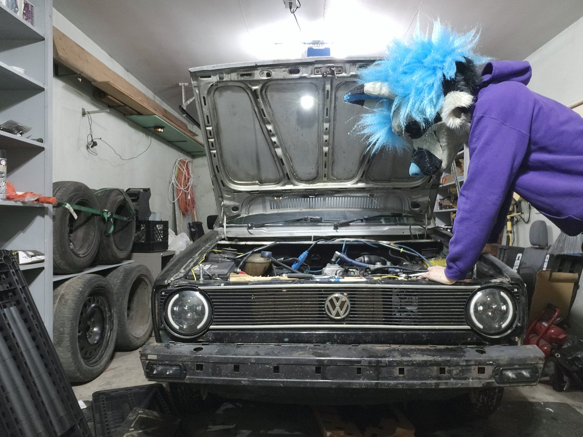 Halon332's tweet image. What da dog doin