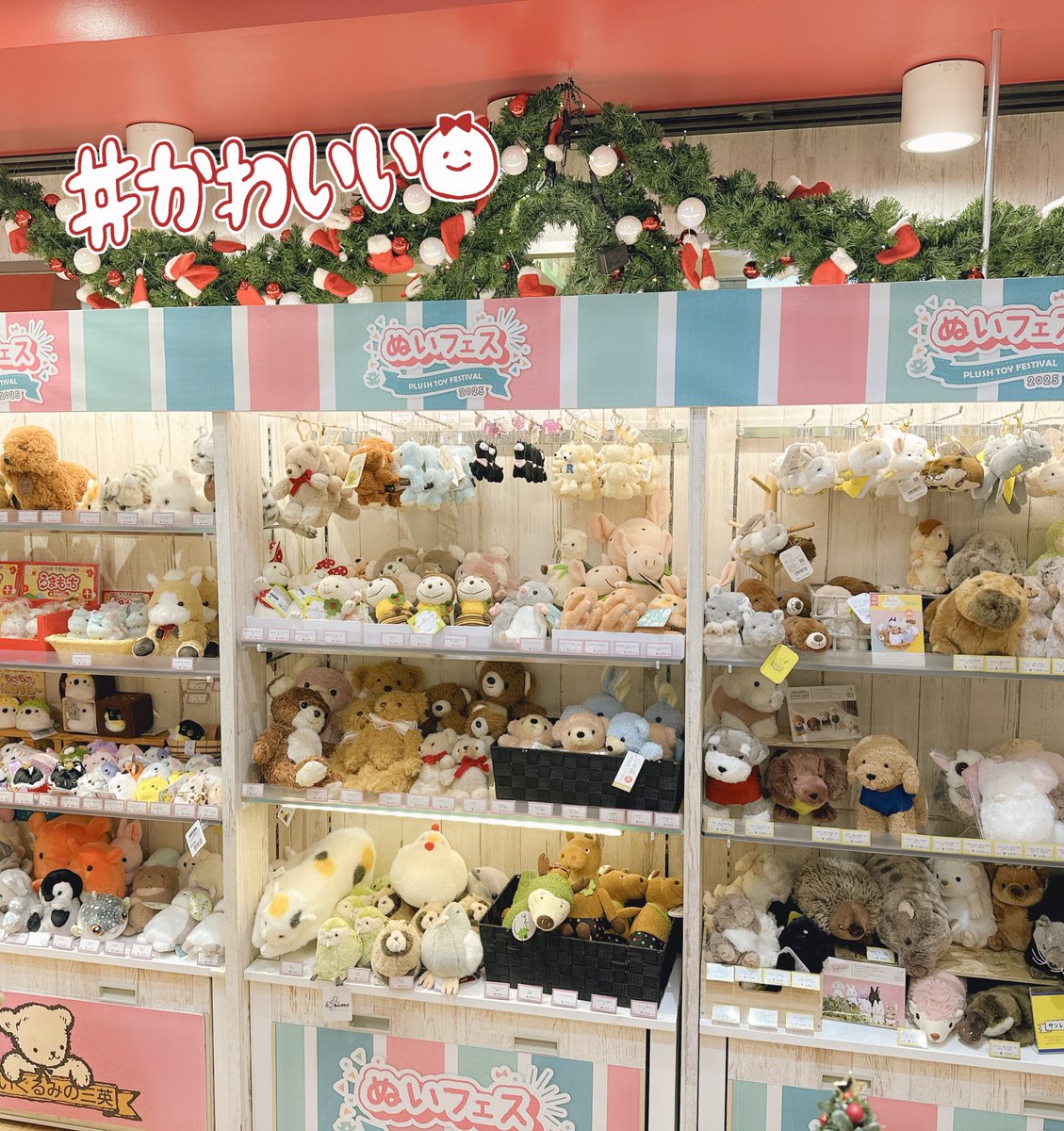 ぬいぐるみ確認ページ たくさんの種類のぬいぐるみがお待ちしております💖 ご来店の際はぜひ