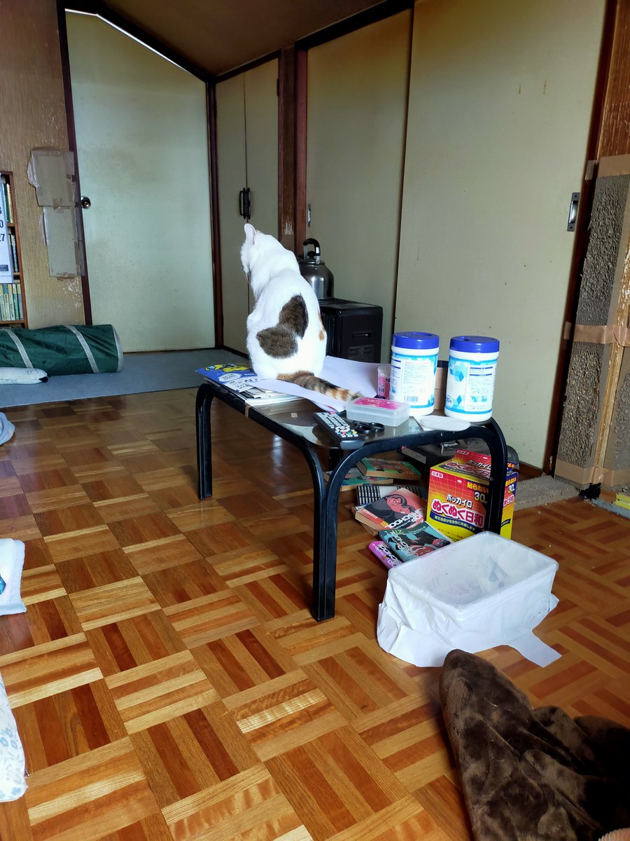 ❤あまむこ❤(デューク) デューク (@levPSZfKwUsHjh9) / Posts / X