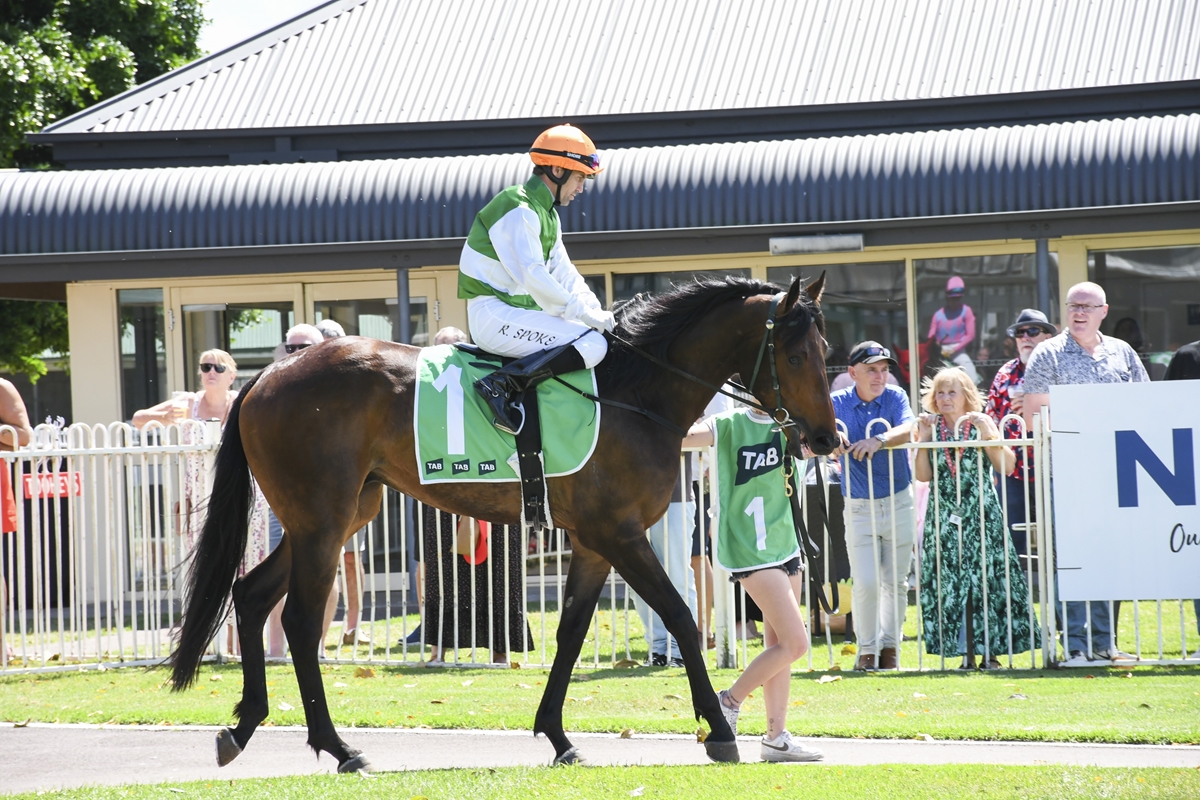 Tara Madgwick tweet media