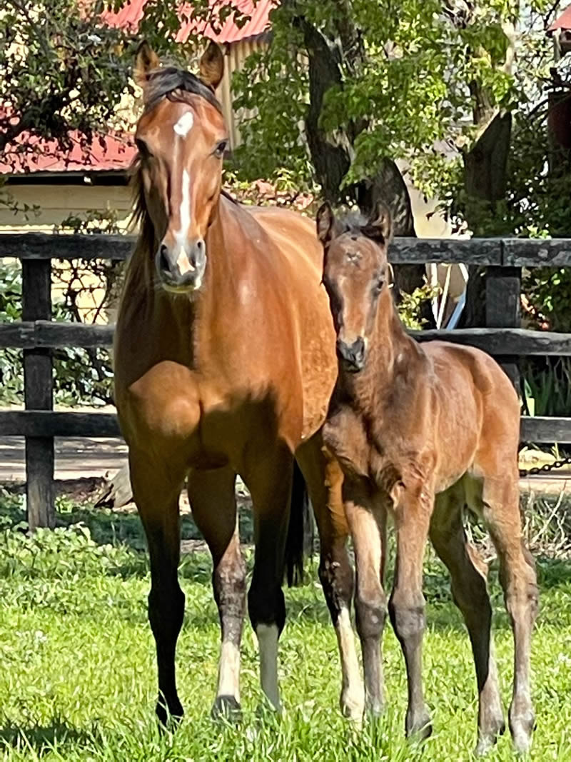 Tara Madgwick tweet media