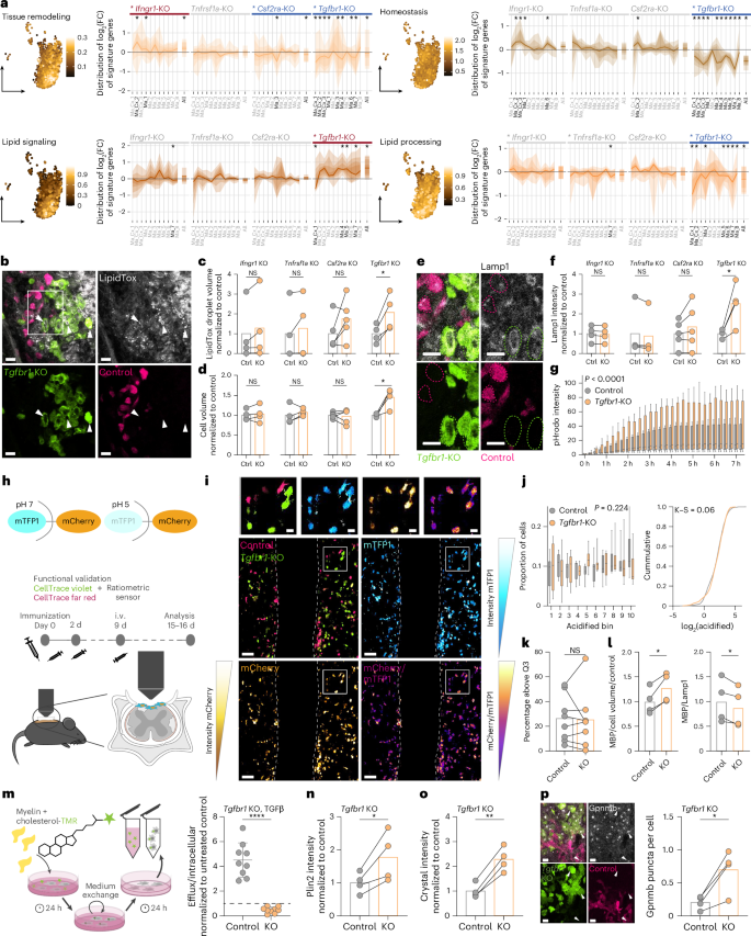 Waggoner Lab tweet media