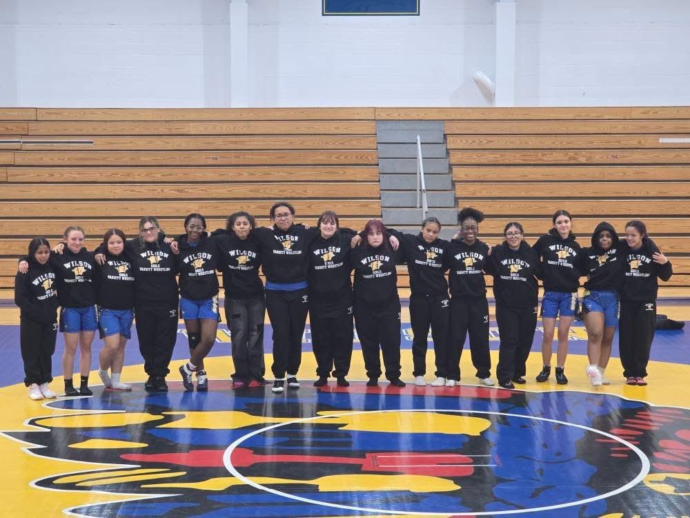 Wilson Area Athletics tweet media