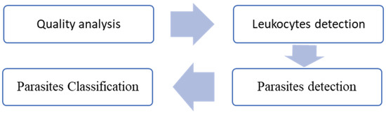 Sensors_MDPI's tweet image. Image-Based Detection and Classification of Malaria Parasites and Leukocytes with Quality Assessment of Romanowsky-Stained Blood Smears
mdpi.com/1424-8220/25/2…
#image_processing #malaria_diagnosis