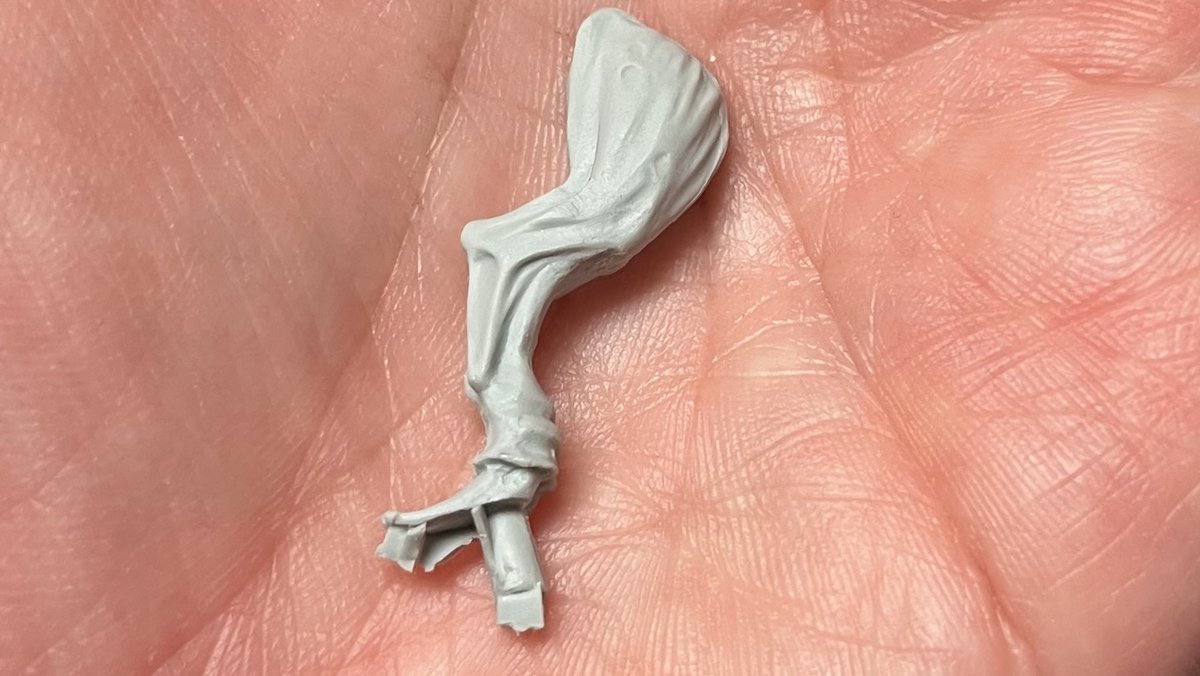 The Spider King tweet media