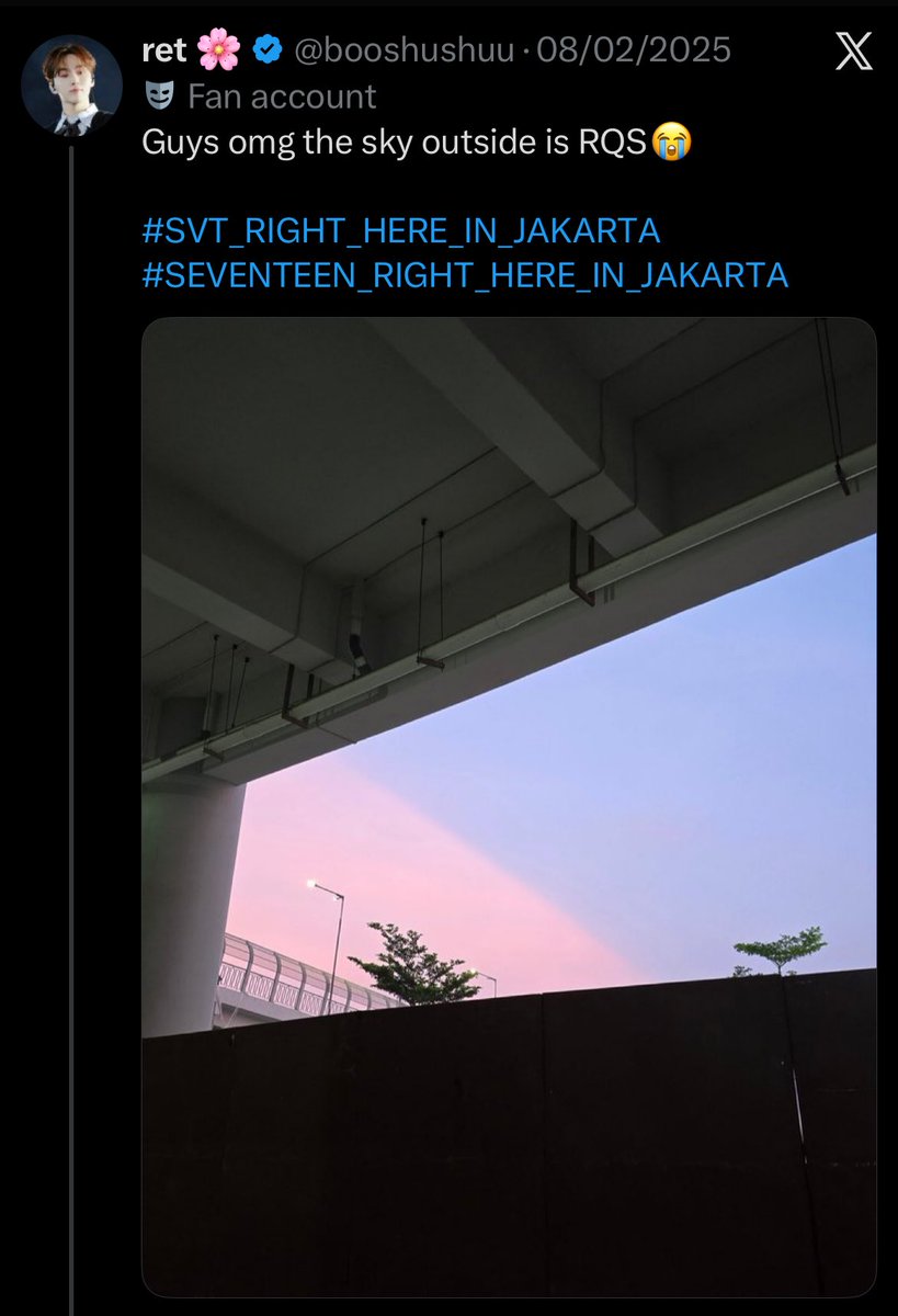 also i always find this specific carat culture cute i love how universally carats no matter where are they coming from associate pink and blue skies with svt like everytime we see rqs skies it will always reminds us of svt and thats like nature’s way of connecting us back to them