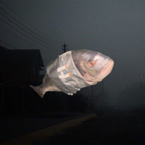 rule 1 – don’t get caught 
rule 2 – use only rotten fish

FeVHaWAZ4pbqFsefmwwMDtkLcXDrrvZs5WsWmKxtpump