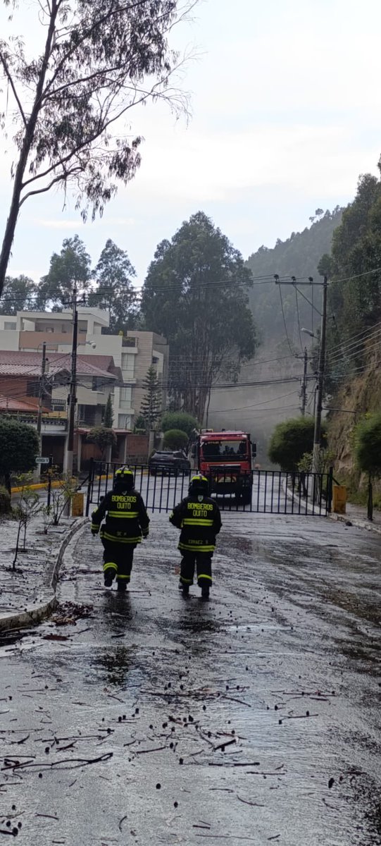 cristobalcj83's tweet photo. @ambientequito @pabelml @EMGIRSEP @EmAseoQuito @aguadequito @MunicipioQuito Señores, más de 2 meses con contaminación ambiental por queda de madera y residuos. 100 familias afectadas en la URB el condado personas de la 3era edad, bebés , mujeres embarazadas la situación está sin control y es critica. Quema diaria. https://t.co/htv0T04r18