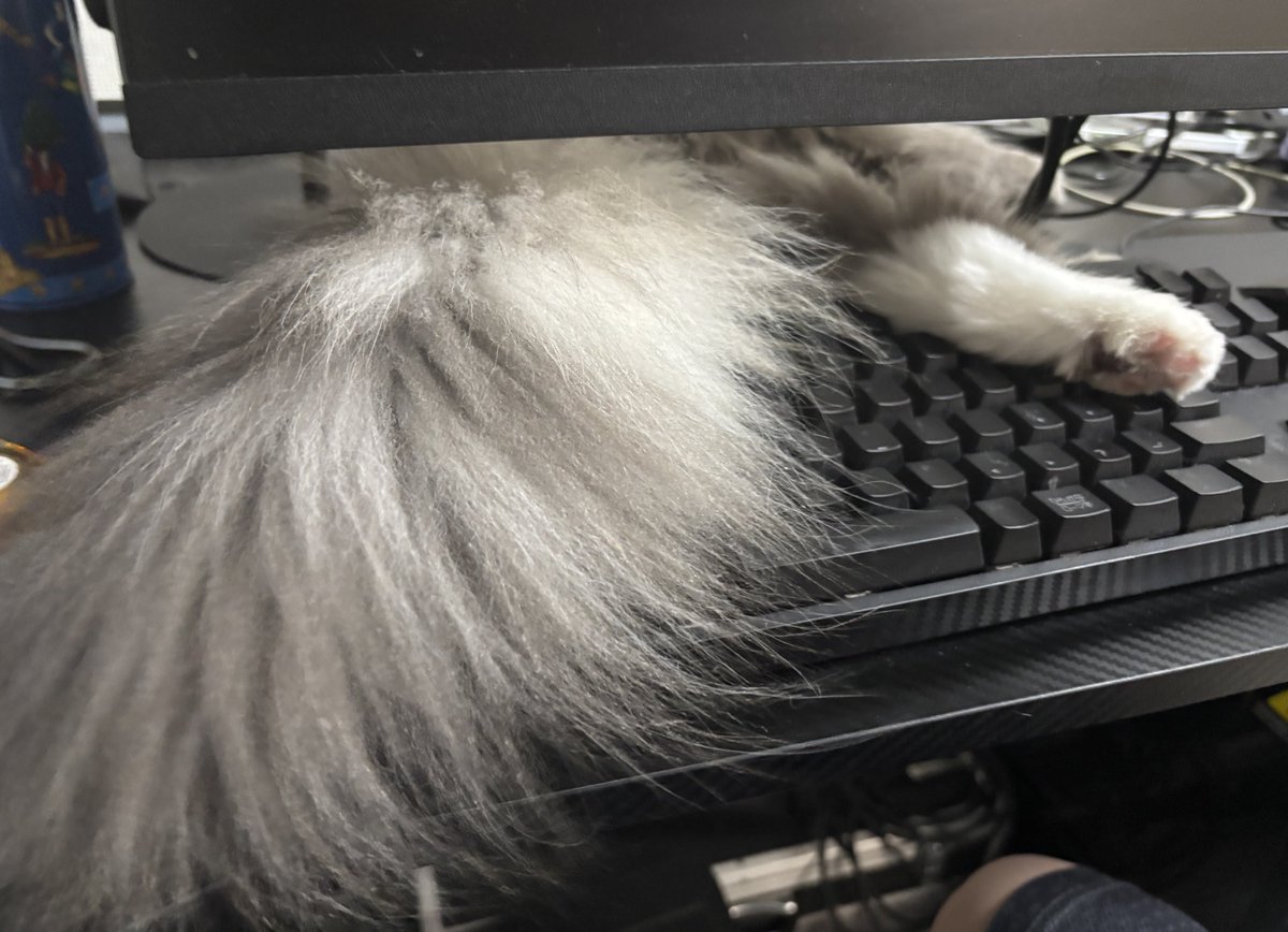 hellmelich's tweet image. PCできないよ…