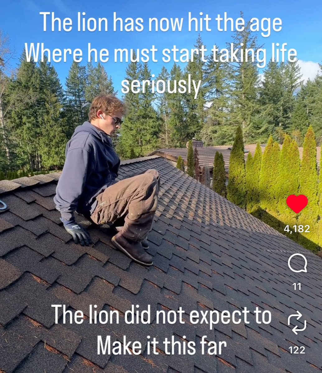 Brizz-Chan (Mr drive) tweet media