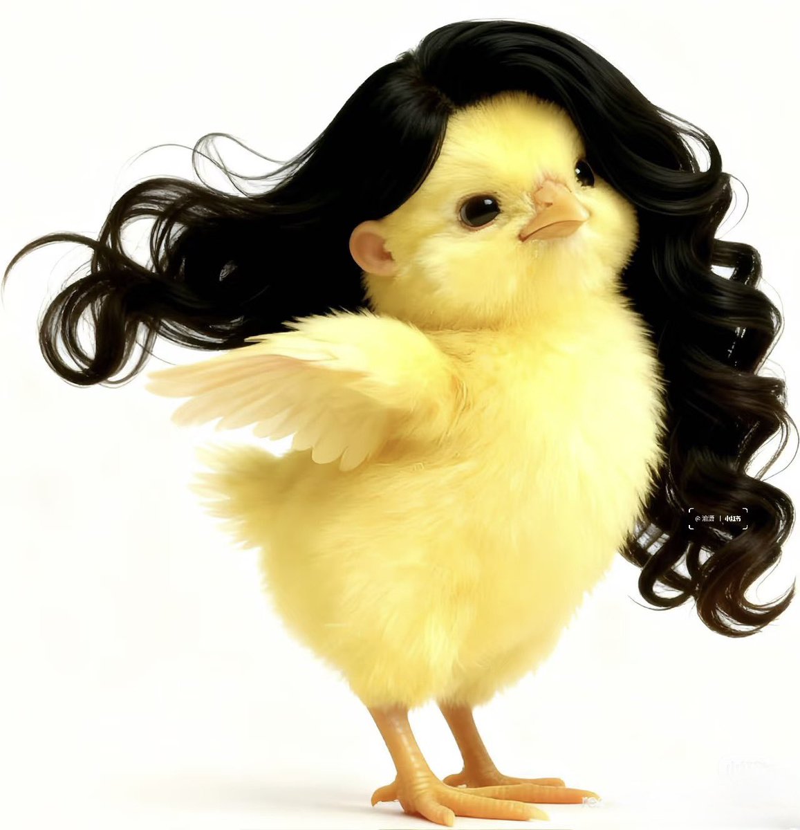 ℂ𝕣𝕪𝕡𝕥𝕠𝔼𝕞𝕡𝕣𝕖𝕤𝕤🤍 tweet media