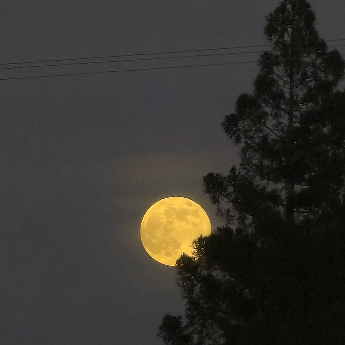 Last #Supermoon until 2042