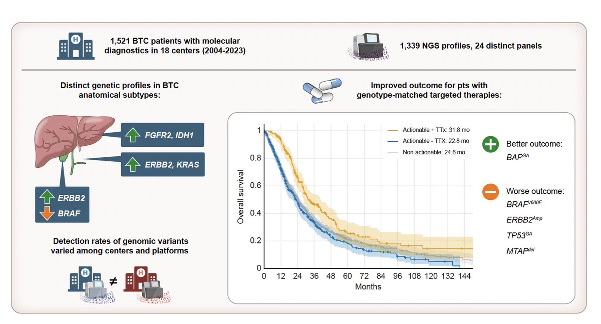ArndtVogel's tweet photo. 🔥off the press🔥
Clinical practice and implications of biomarker testing in biliary tract cancer: An observational study
@JHEP_Reports
My author link:👇
https://t.co/vgGblaNysx
👉We need certified NGS panels
🧐Interesting prognostic & predictive impact of several GAs in BTC
@myESMO @EASLedu @ilca