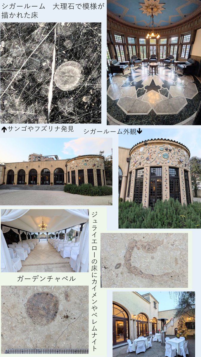 プエンテ (@y3puente) / Posts / X