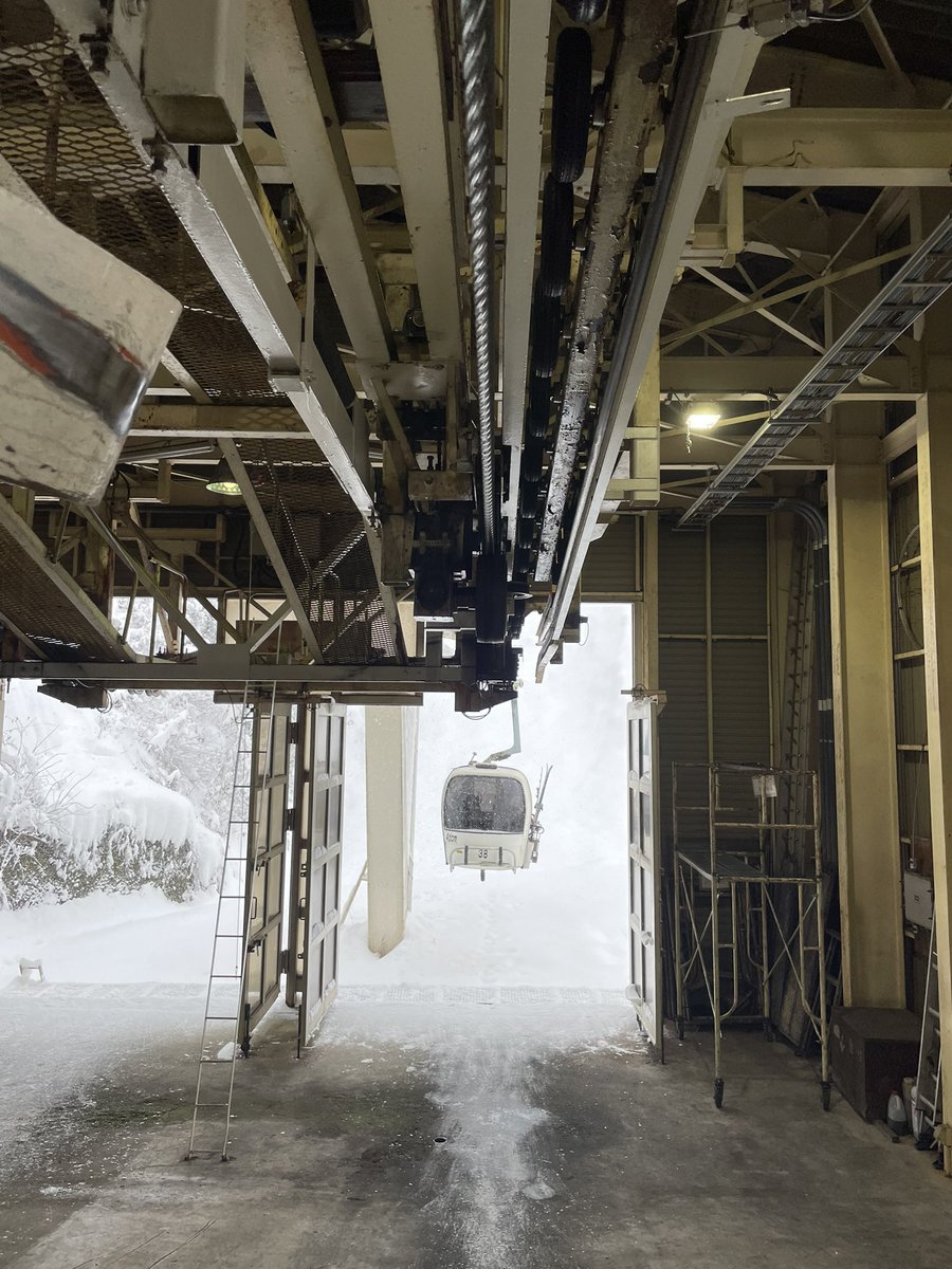 ⛄️金ちゃん⛷⛄️🇯🇵(雪)パウダー輸送🚛💨⛄️☆✨ (@kinchan795