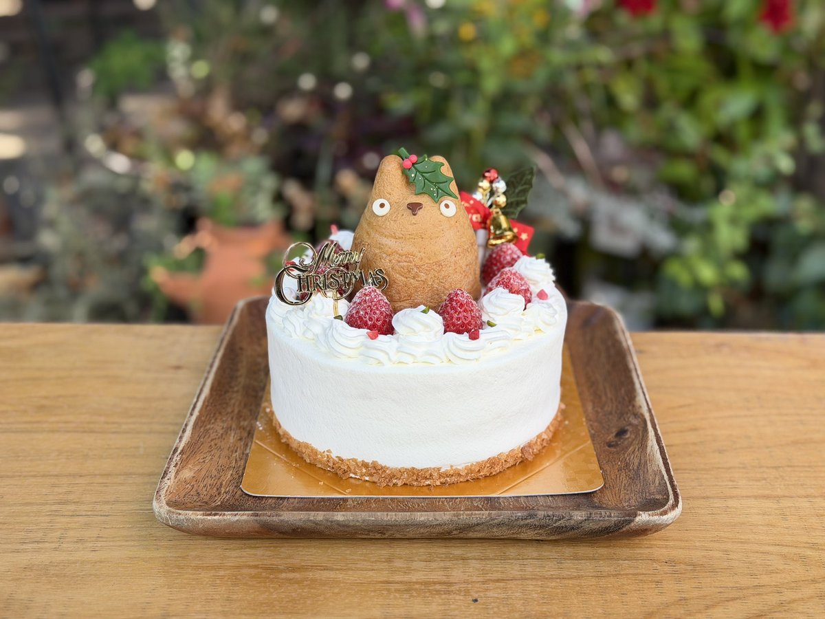 🎄クリスマスケーキご紹介①🎄 苺のショートケーキ 5号サイズ 6500円