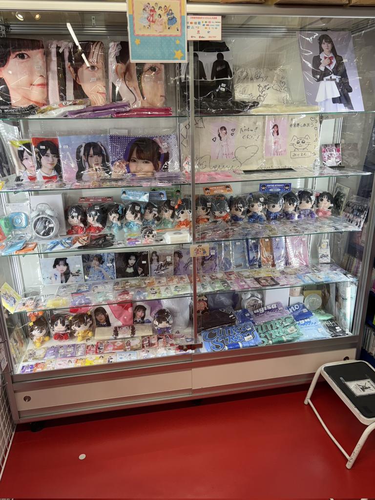 スペシャルフォト9枚セット売り 十三参り・十三祝いコレクション[販売価格36,300円(税込)～]｜料金