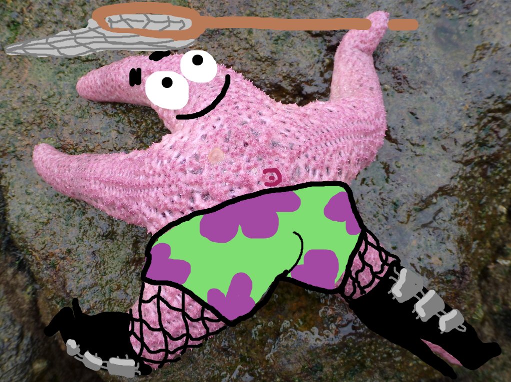 bootyswagga, on god. tweet media