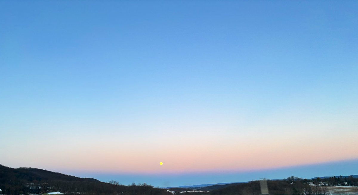 Christy Shields tweet media