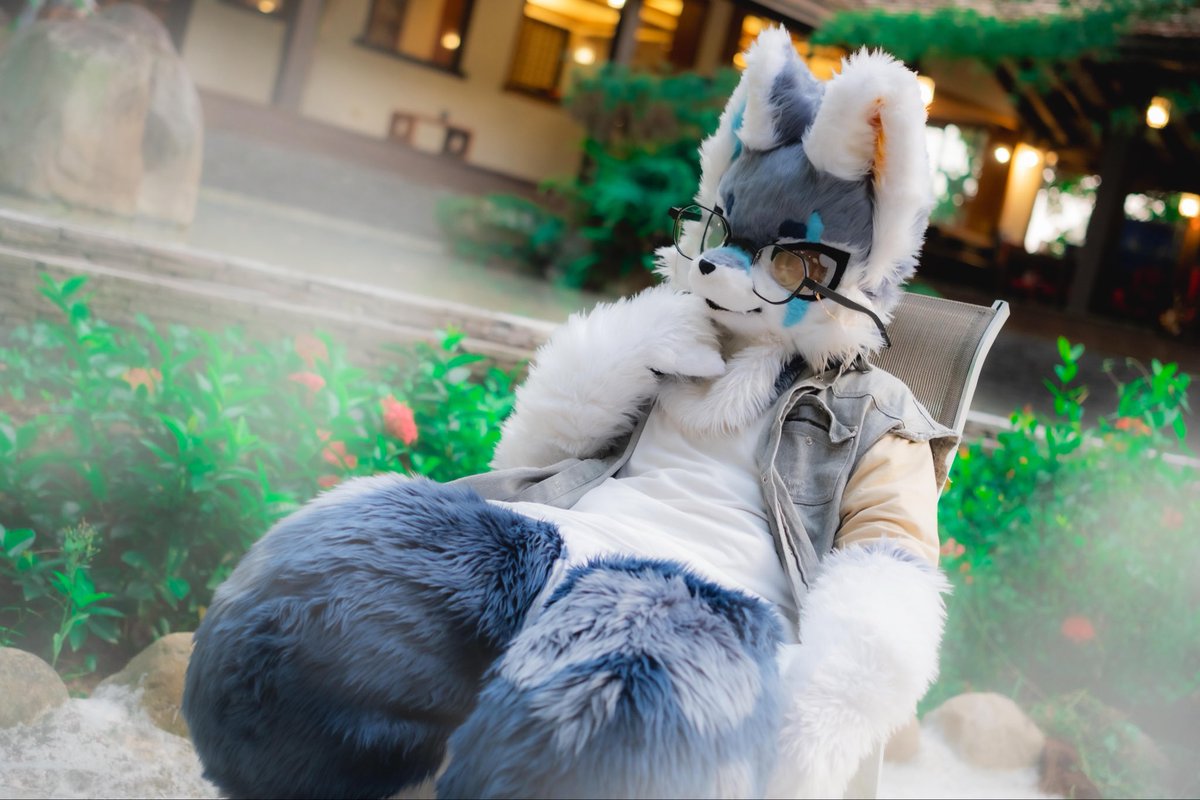 惡魔狐緹卡~ tweet media