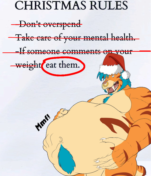 Just a suggested set of Christmas rules...