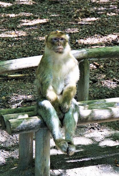 ptm me dieron ganas de regresar a la uni