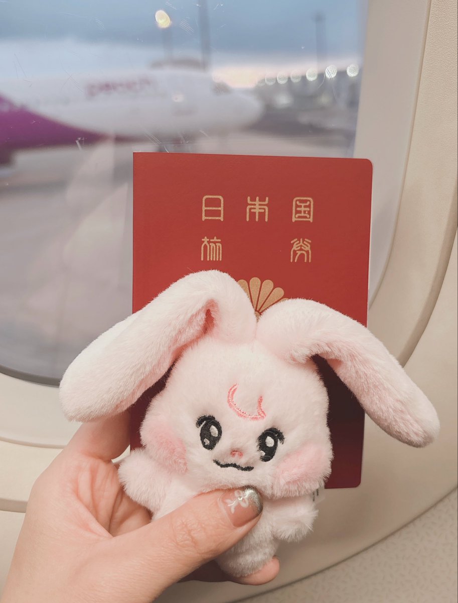 こまめ🌼 tweet media